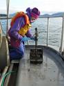 Collecting samples, Prince Rupert Harbour